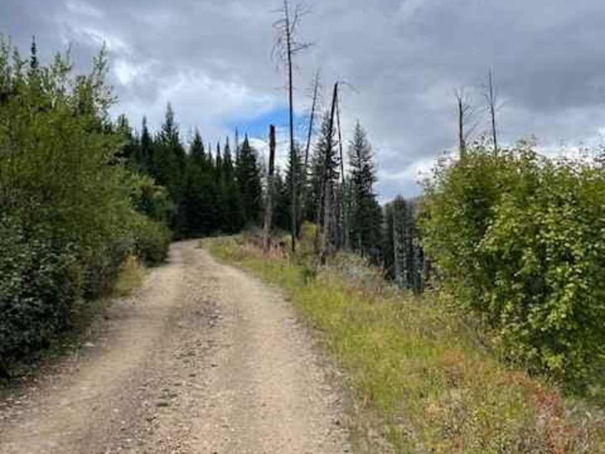 Mill Creek Road trail photo