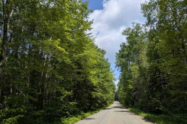 FS 2181