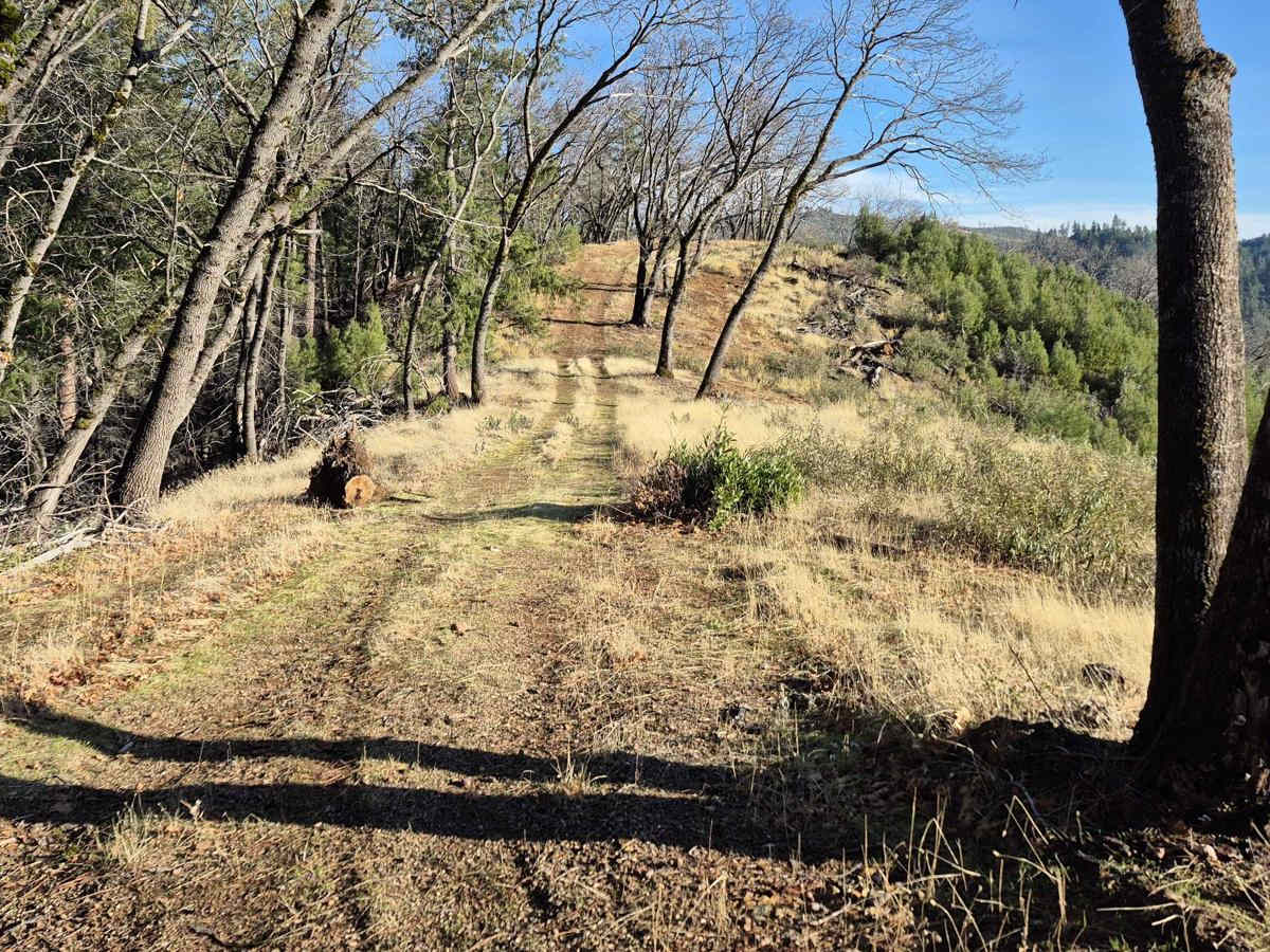 South Volcanoville (13N56) photo 5
