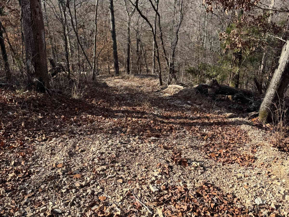 Yellow 250 trail photo