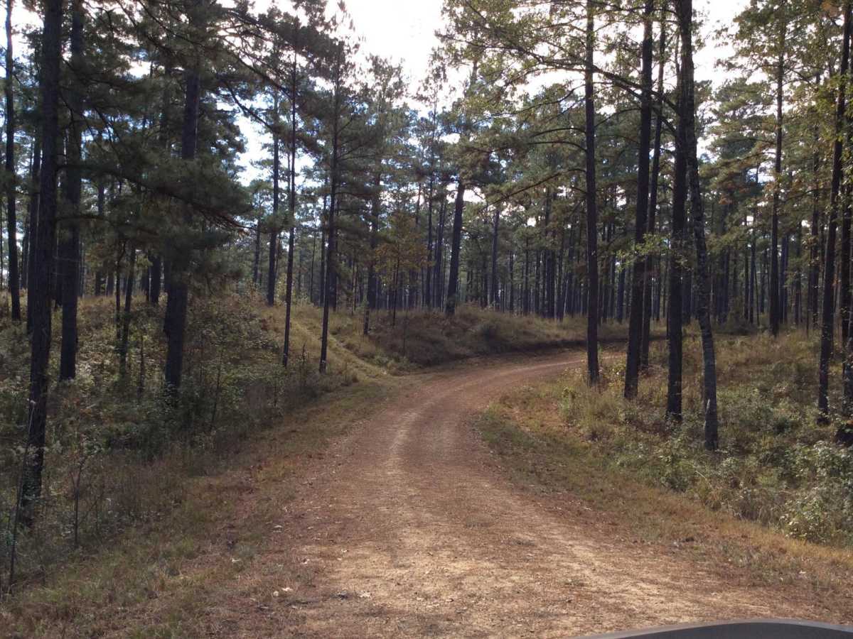 HCNF 103B Cheek Trail trail photo