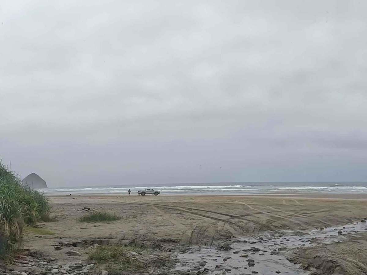 McPhillips Beach Trail photo 3