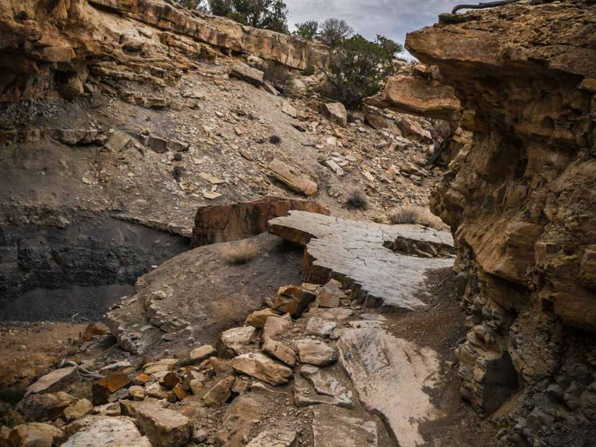 Eagle Valley photo 6