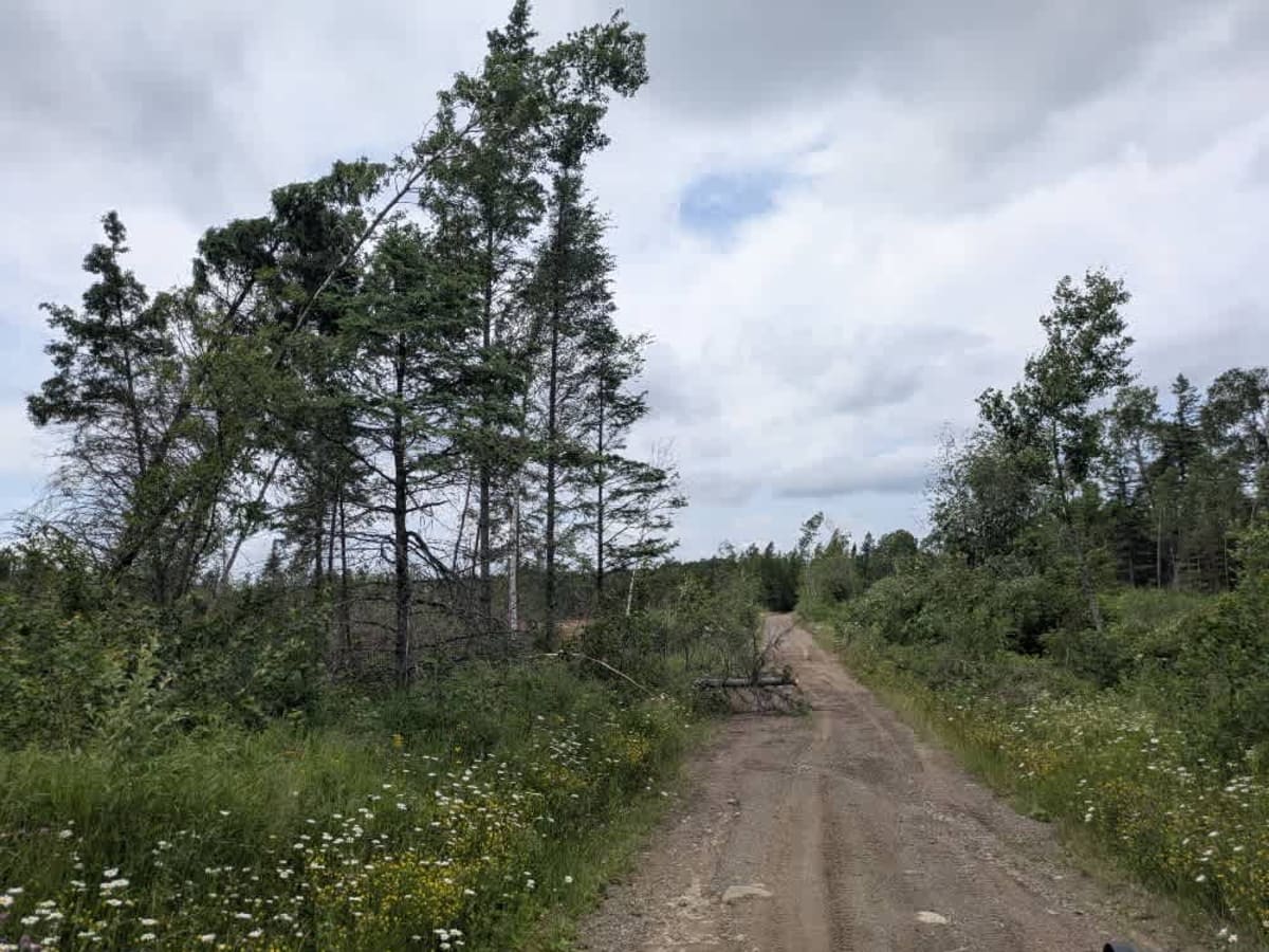 771 trail photo