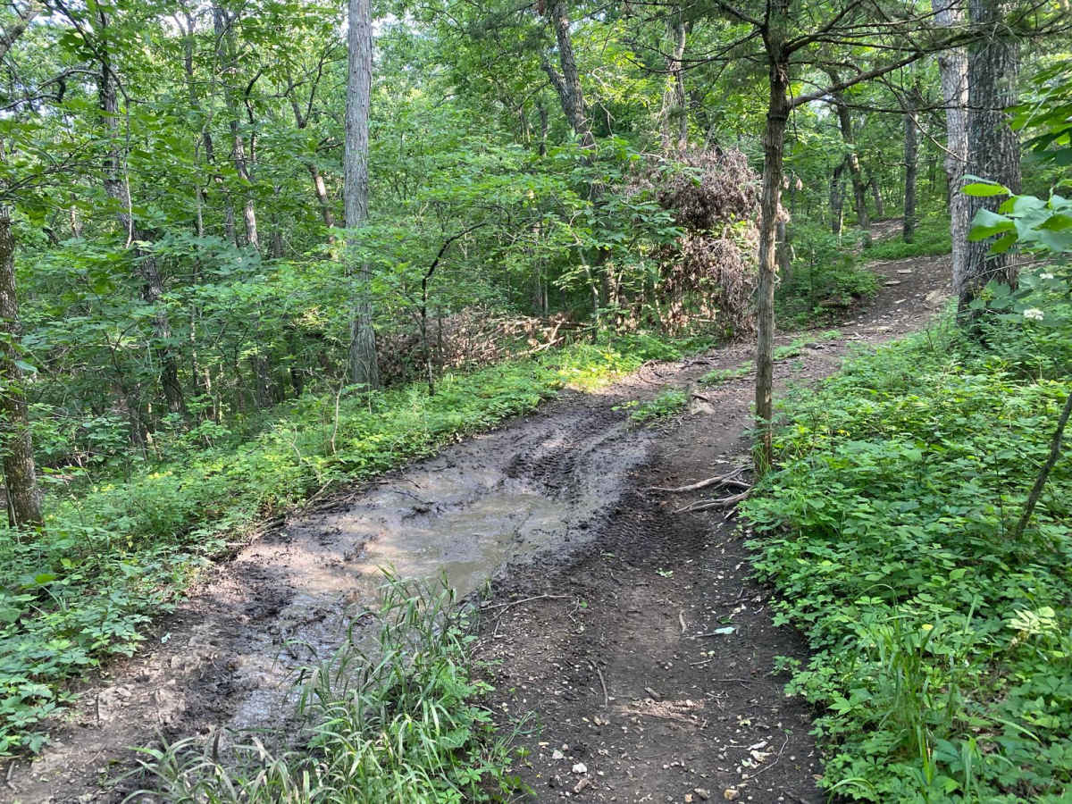 4x4 Land photo 2
