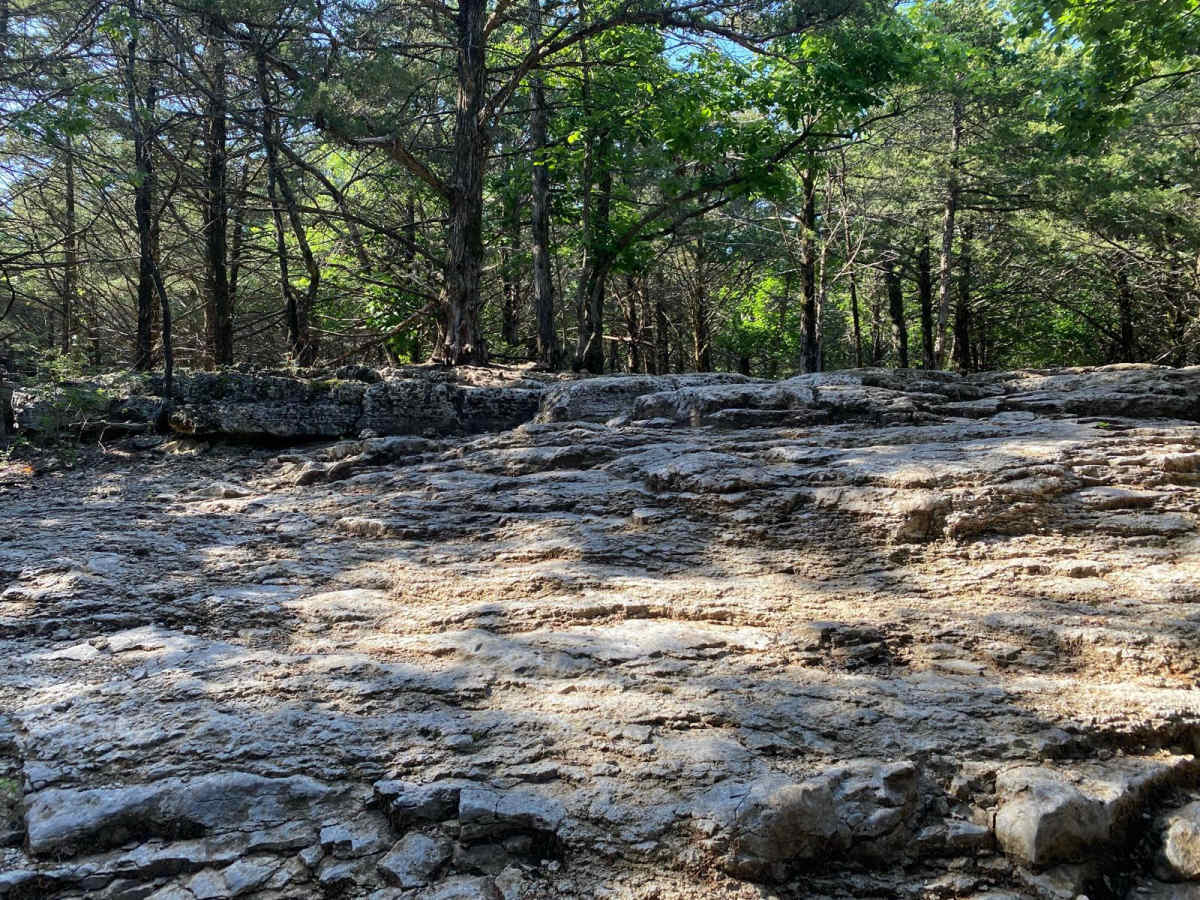 Ron's Rock photo 4