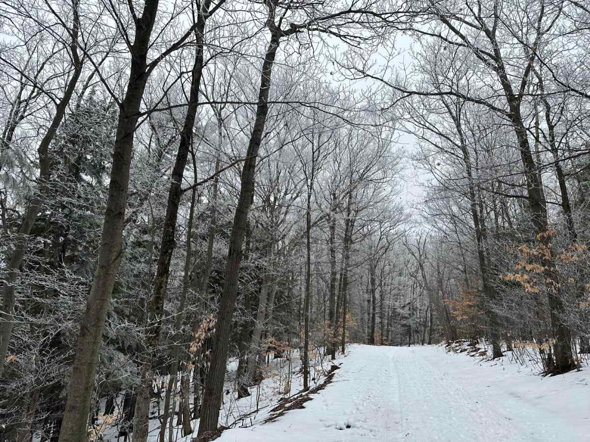 West Miller Hill Road photo 5