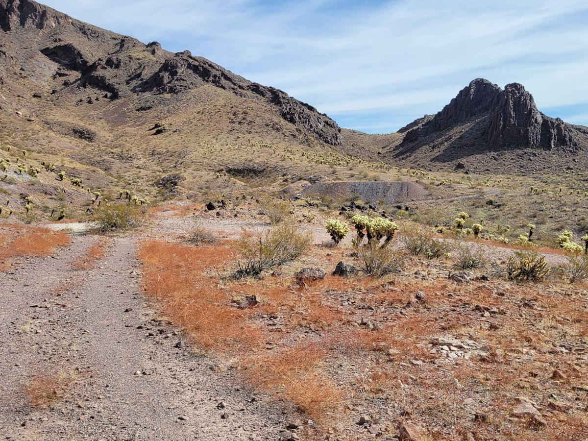 Lone Mine Trail photo 5