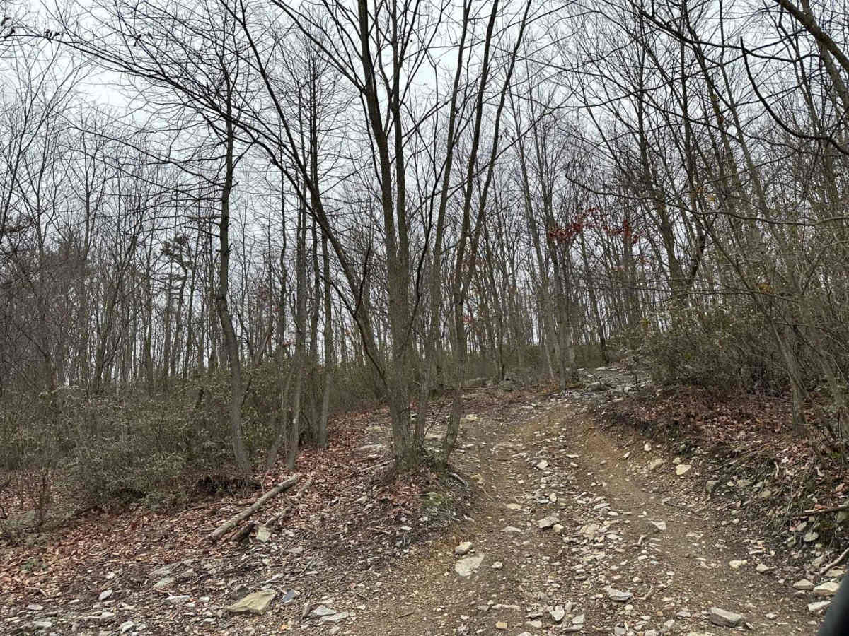 Darkwater 56 photo 2