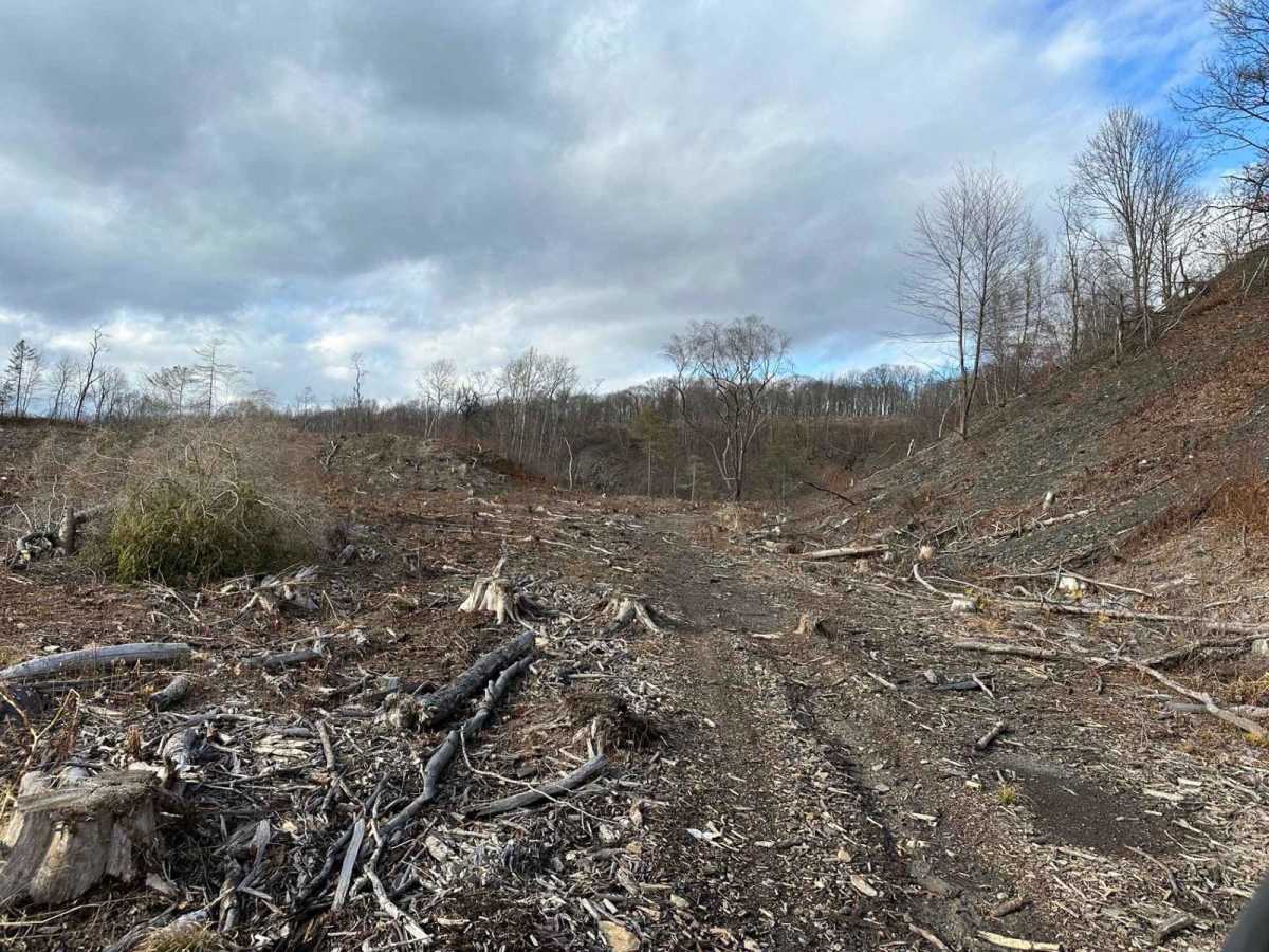 Ashland 188 trail photo