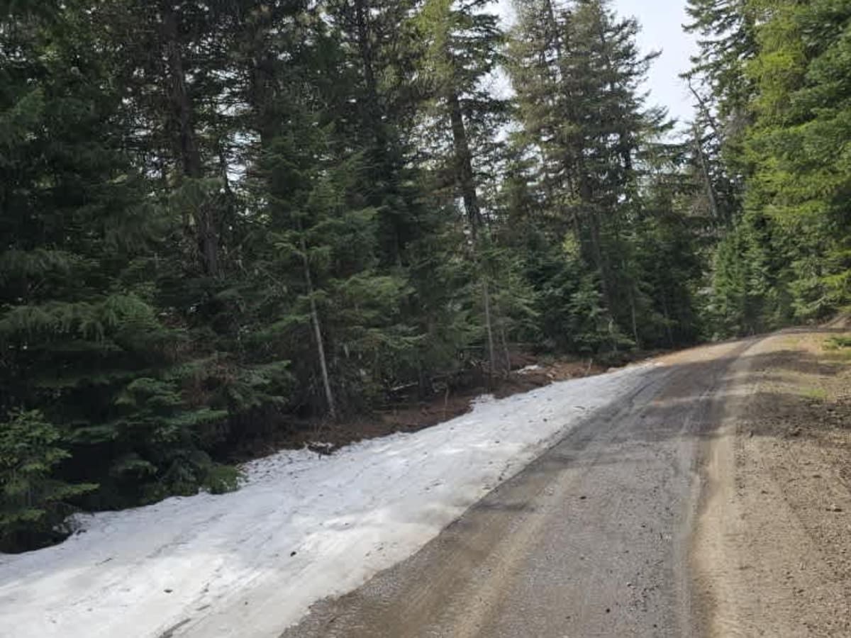 Cedar Creek Road photo 5