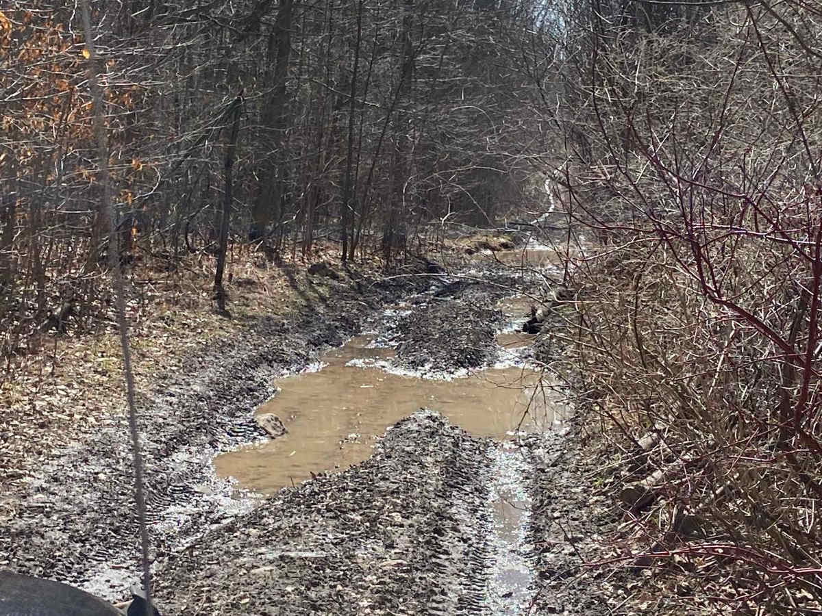 Creemore Run photo 6
