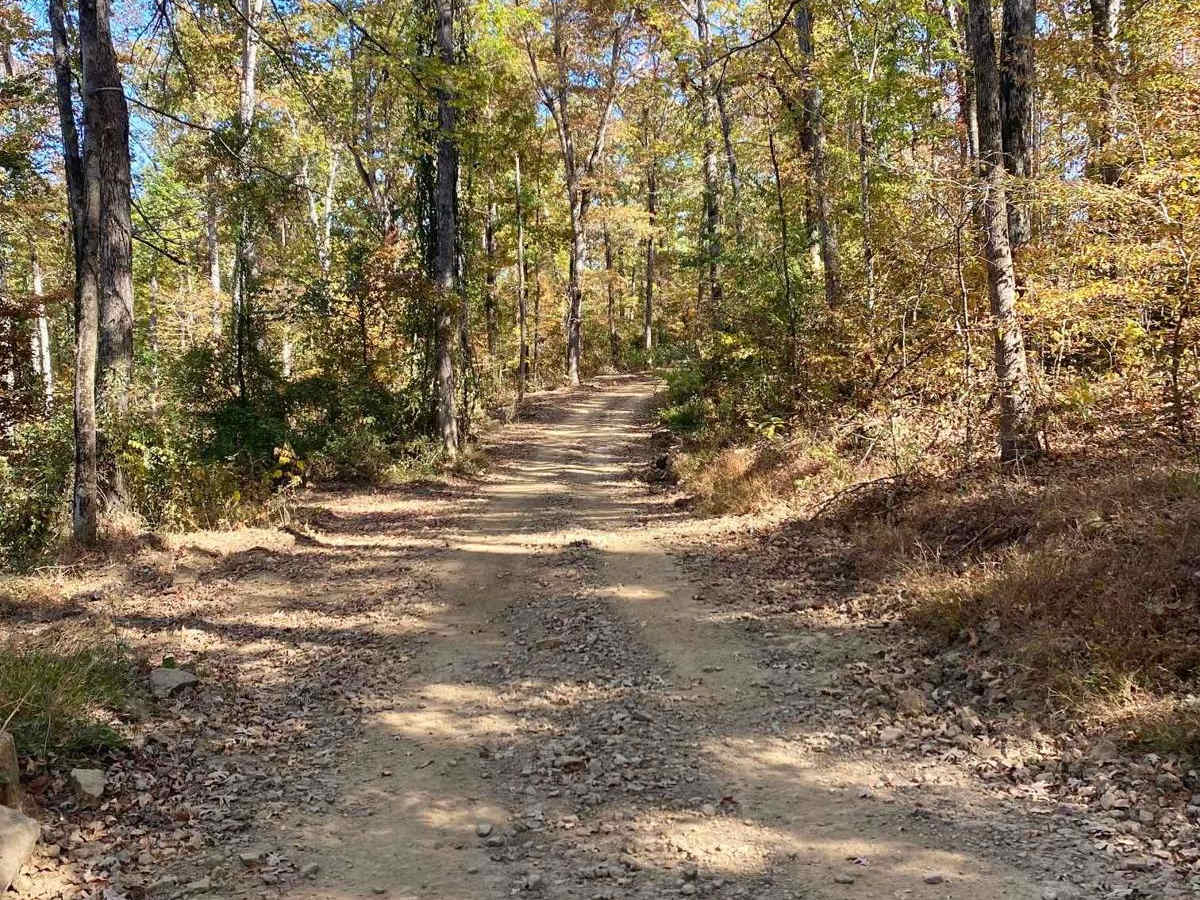Graves Creek Road photo 3