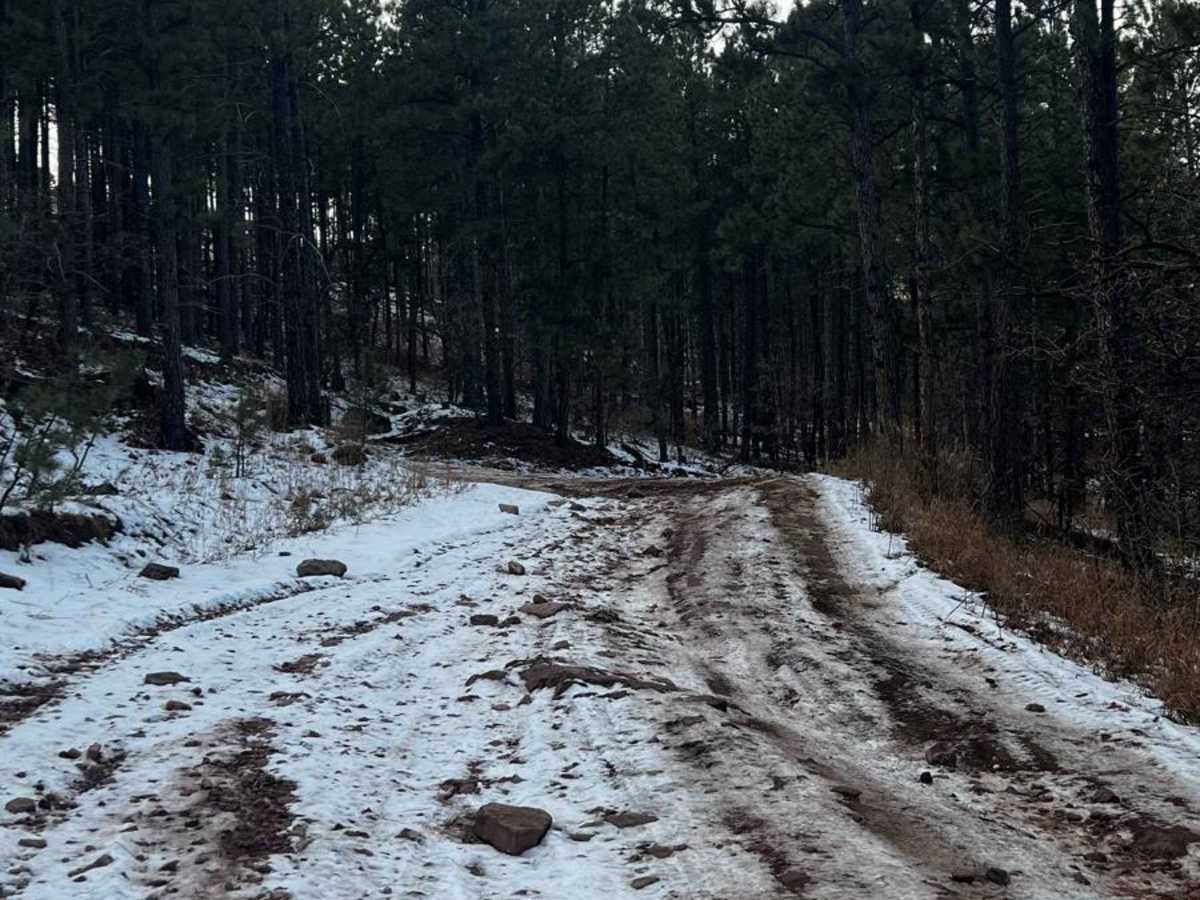 Piedmont To Nemo Trail photo 3