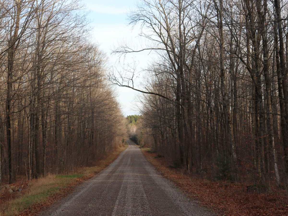 Long Lake Road - FS 2168 photo 2