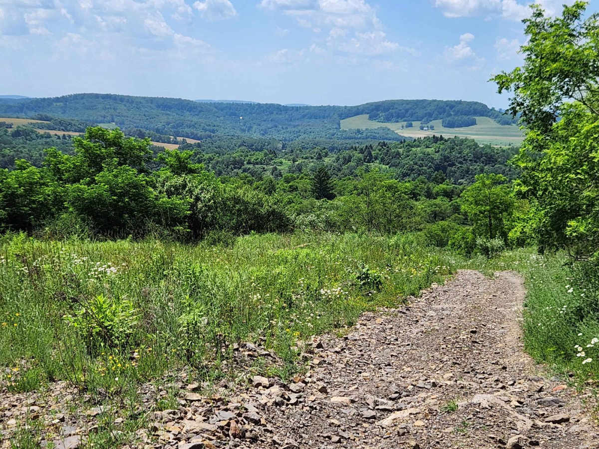 Trail 5I - Rock Run Recreation Area photo 6