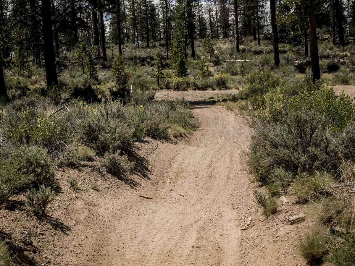 73 trail photo