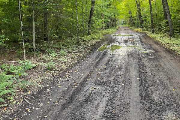 Trail 7 to Buckhorn Resort - Part 11