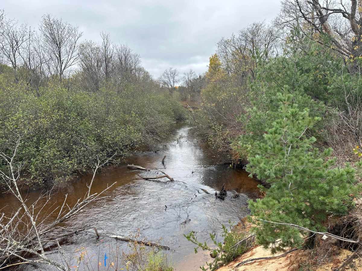 Driggs River Road trail photo
