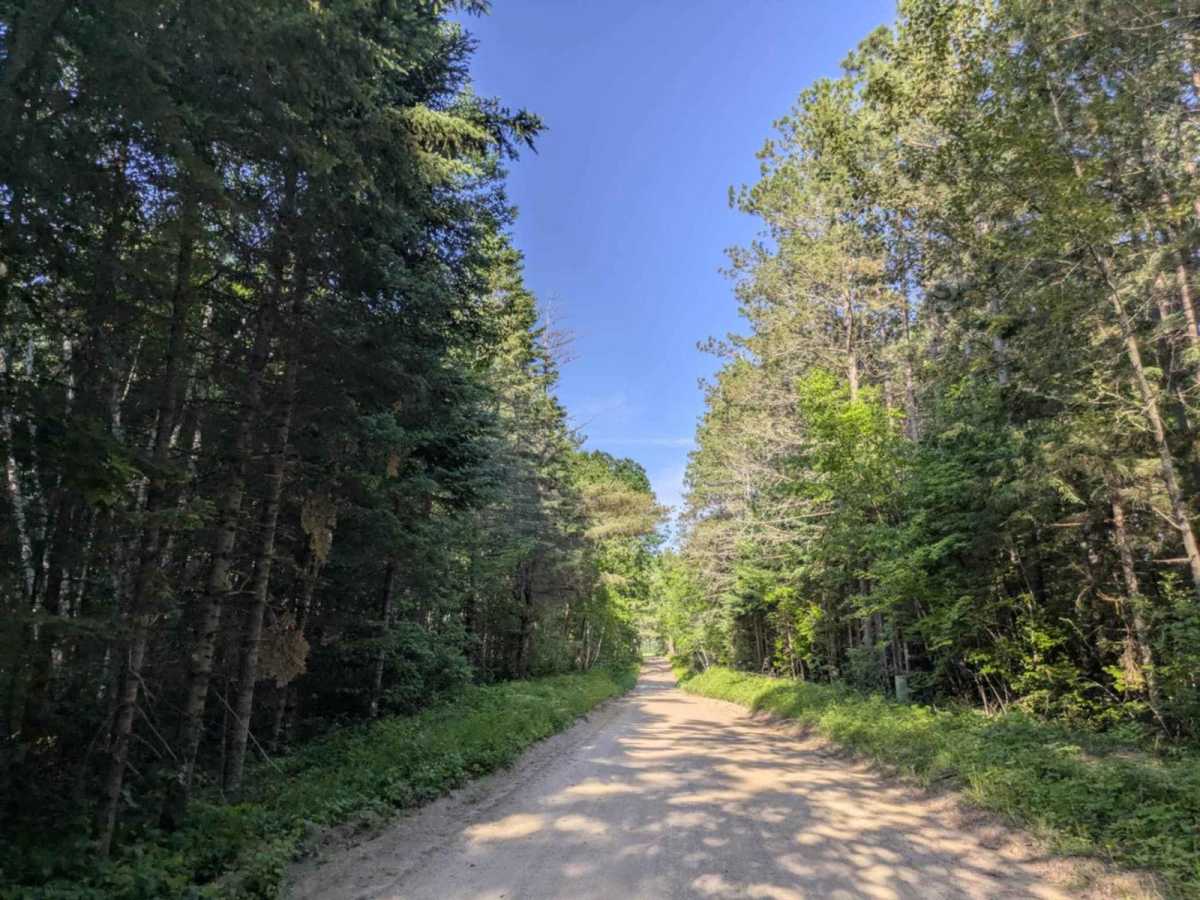 Hales Road Northeast trail photo