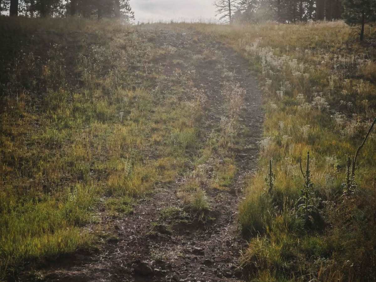 Pipeline photo 4