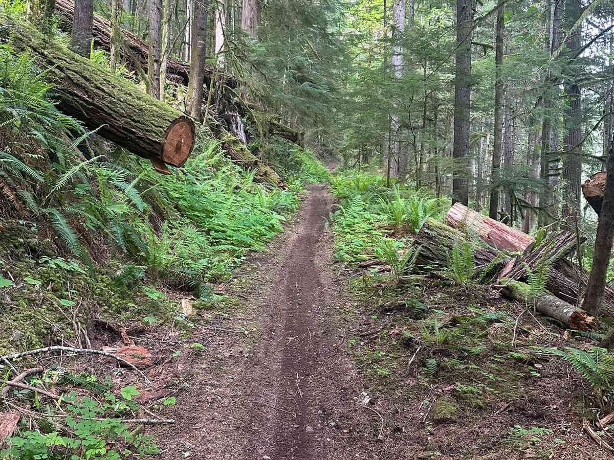 Kraus Ridge photo 5
