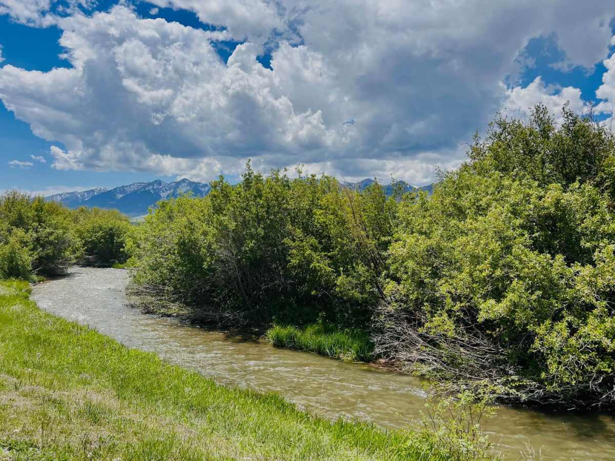 Birch Creek Free Area photo 5