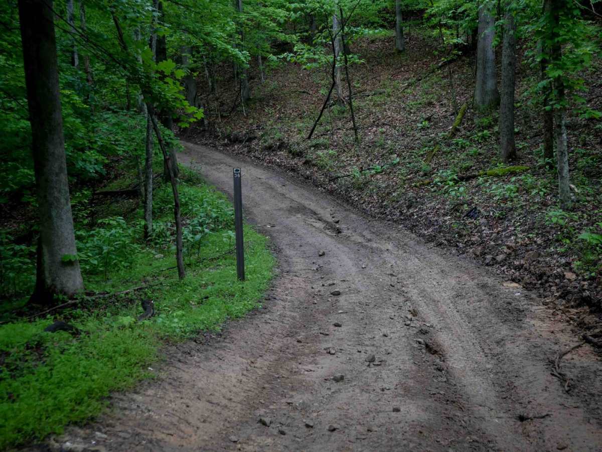 IB 36 photo 2