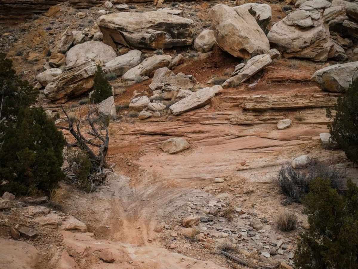 Western Rim photo 3
