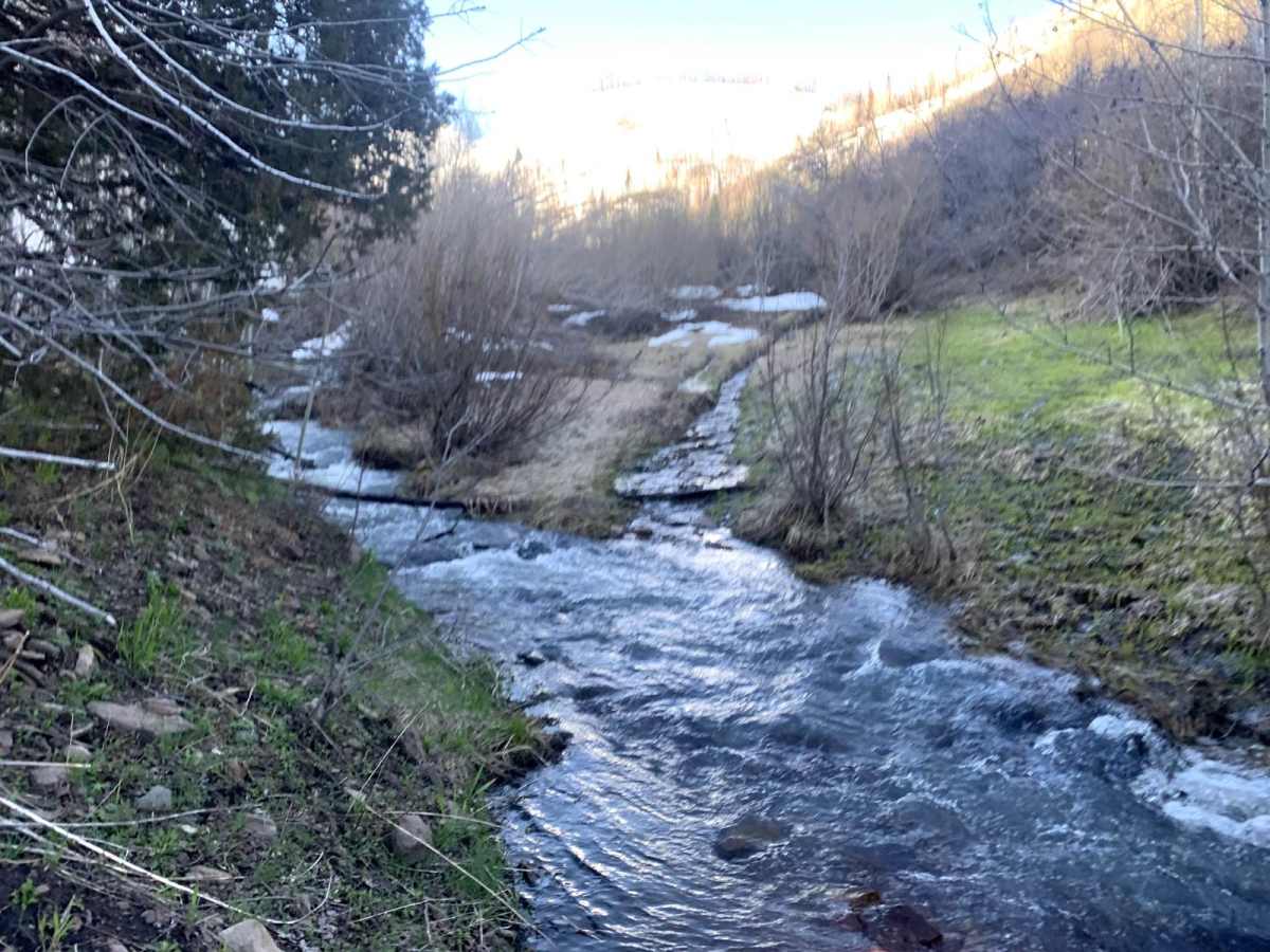Second Fork photo 5