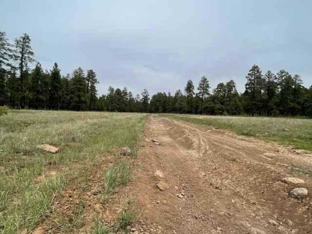 Blind Lake Tank Trail 213B photo 6