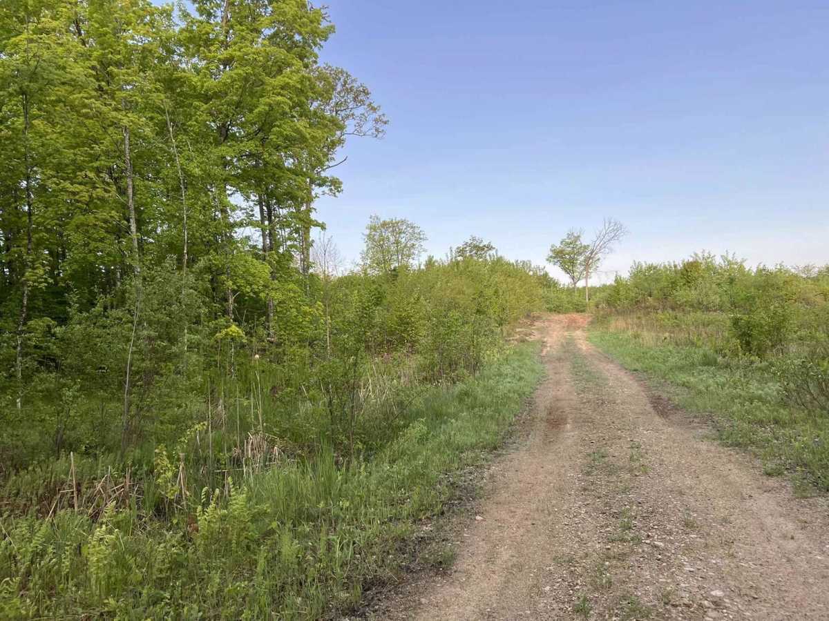 Murry Road photo 3