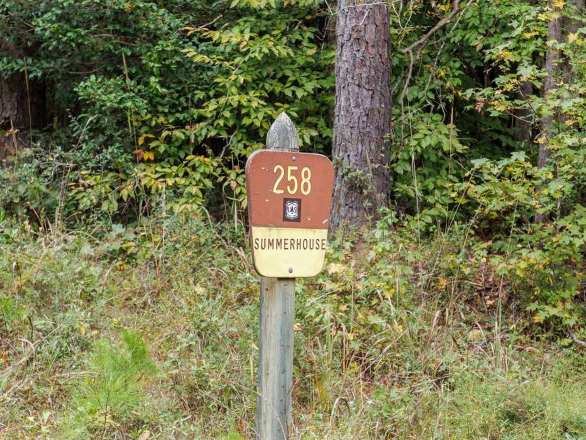 Summerhouse Road - FSR 258 trail photo