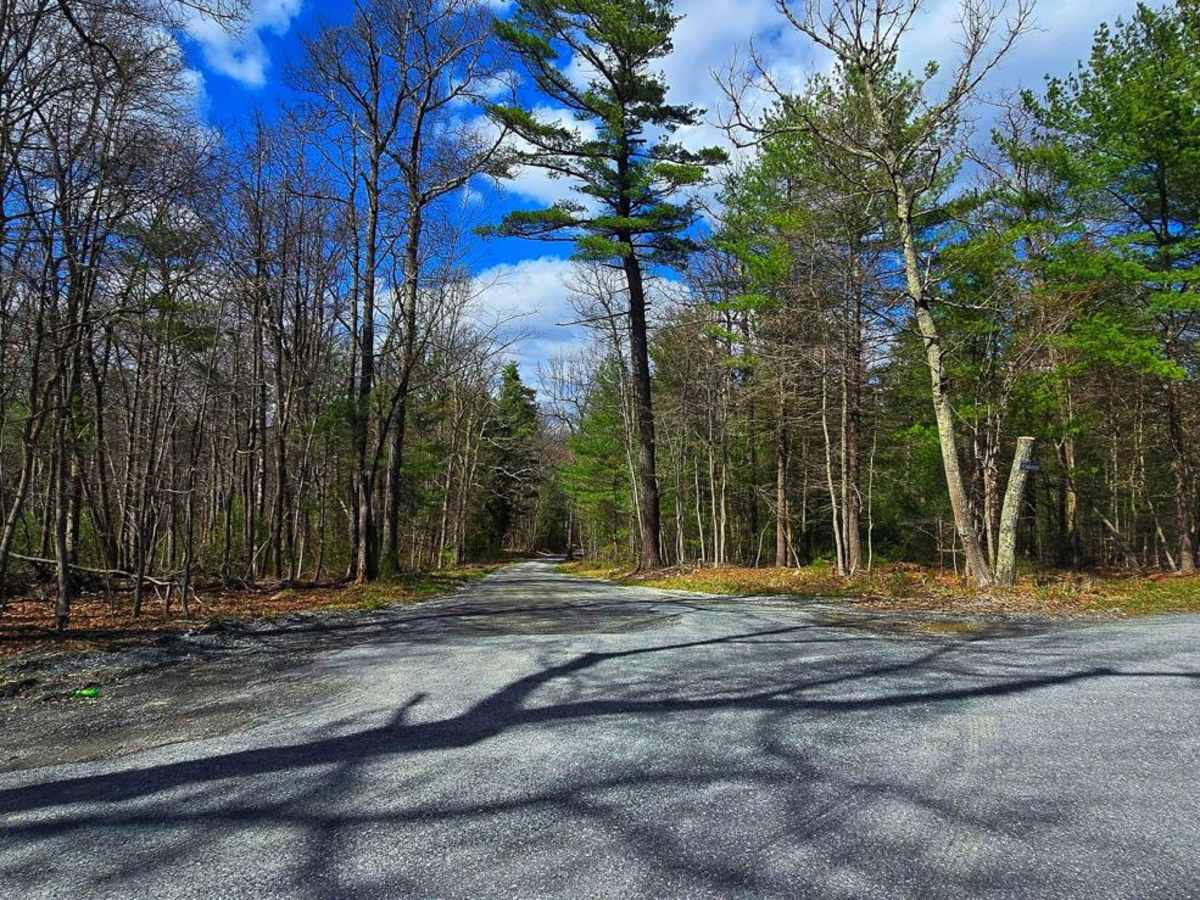 Carbaugh Road photo 2