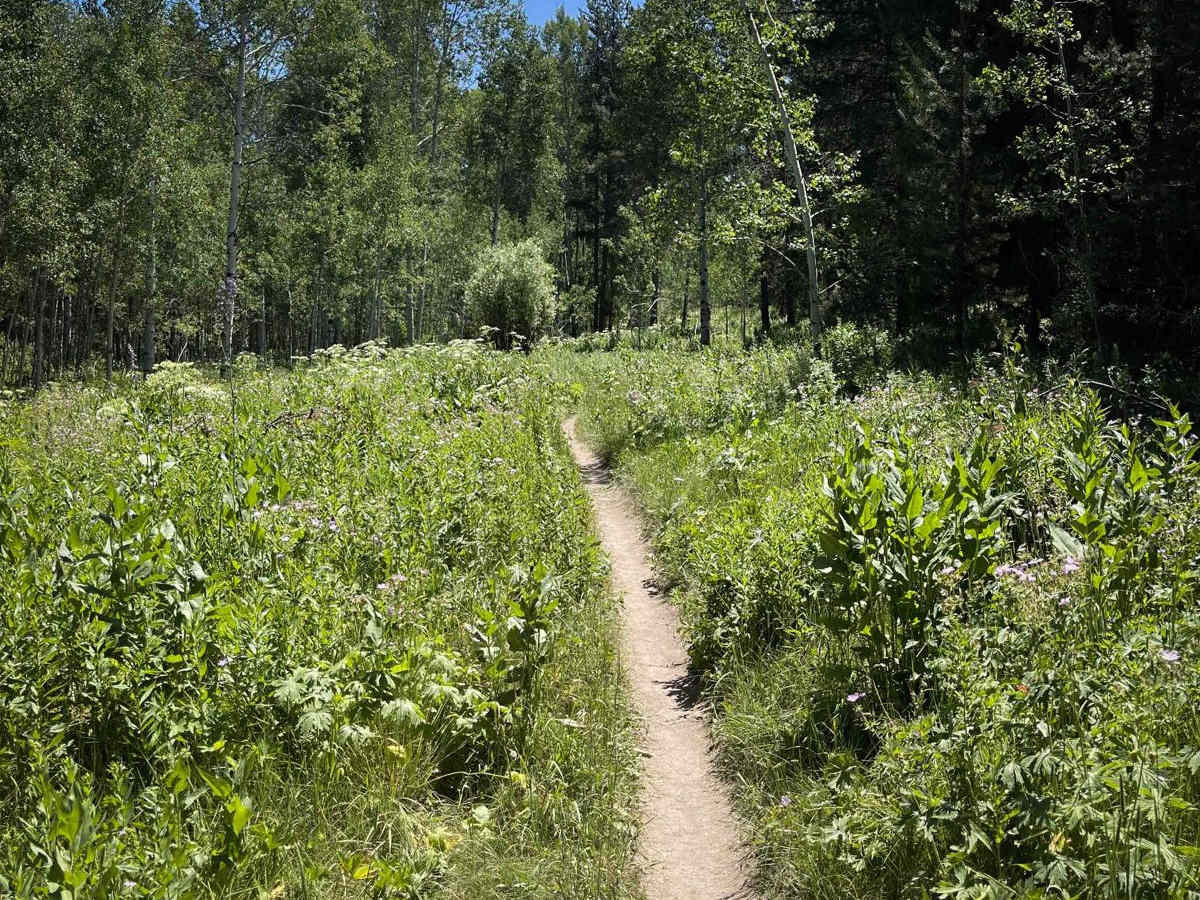 Poison Creek trail photo