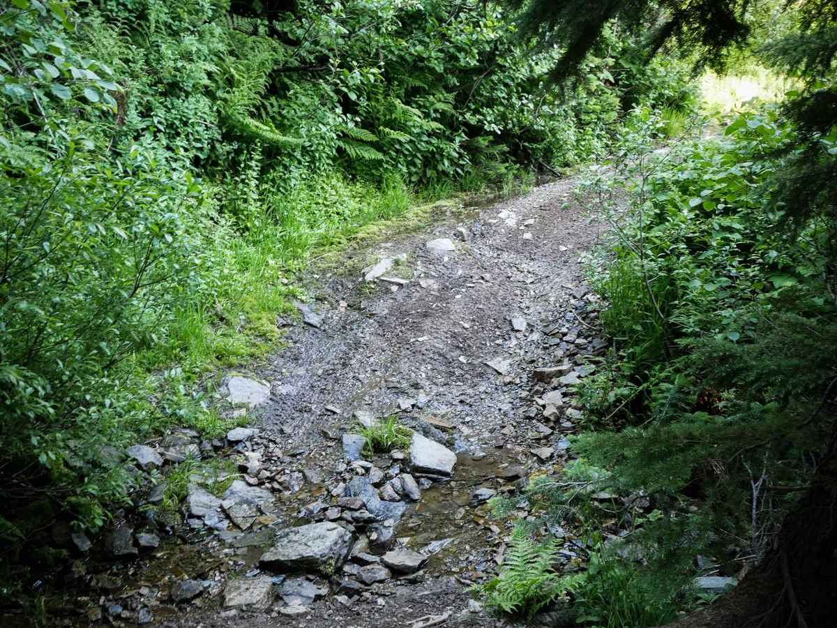 St Joe Divide NRT ATV (Kellogg Saddle to Dam Creek) photo 3