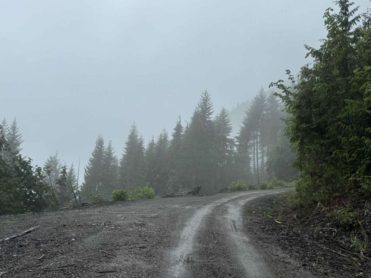 Coal Lake photo 6
