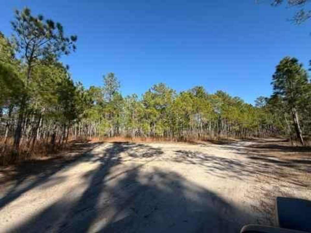 Pettiford Creek West Entrance photo 4