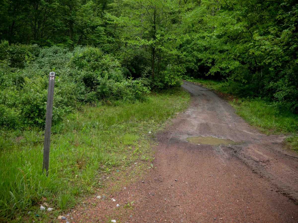 IB 54 photo 3