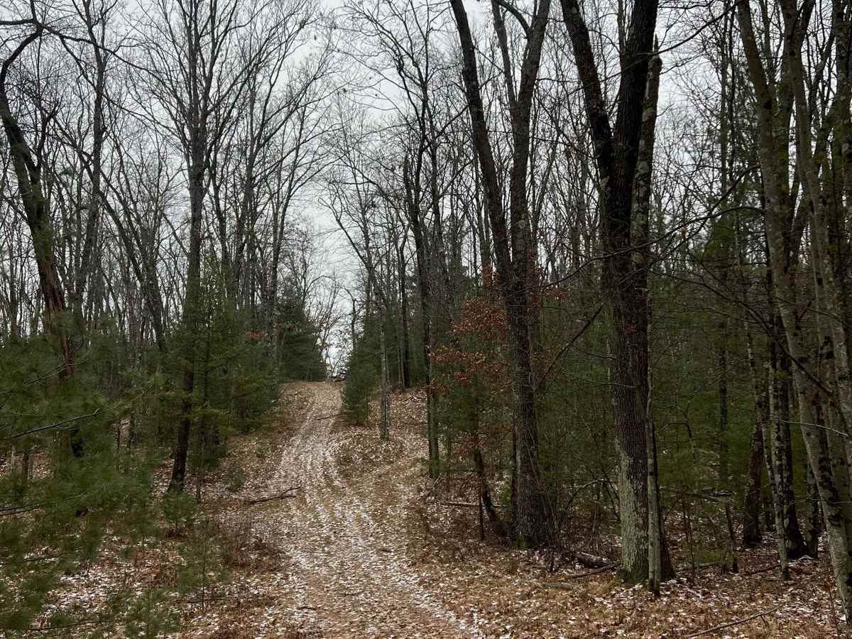 Yates Lookout Tower Trail (NFS 9901) photo 6