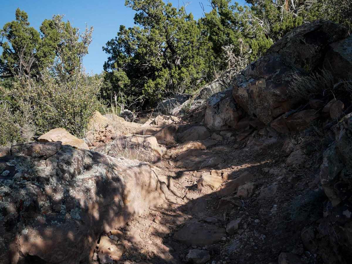 Fred Garza Memorial Trail photo 3