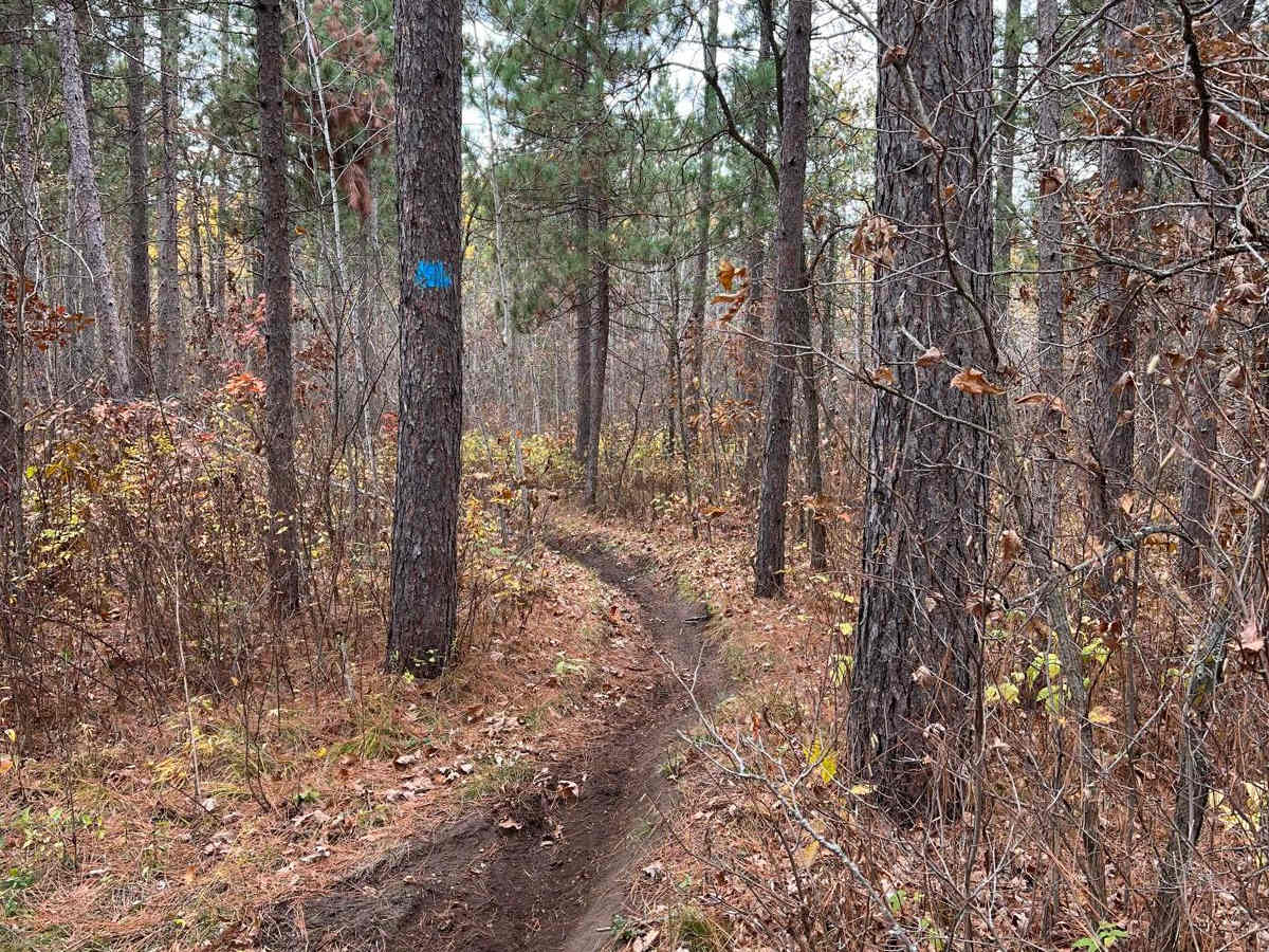 Huntersville Western Trailhead - East Leg photo 5