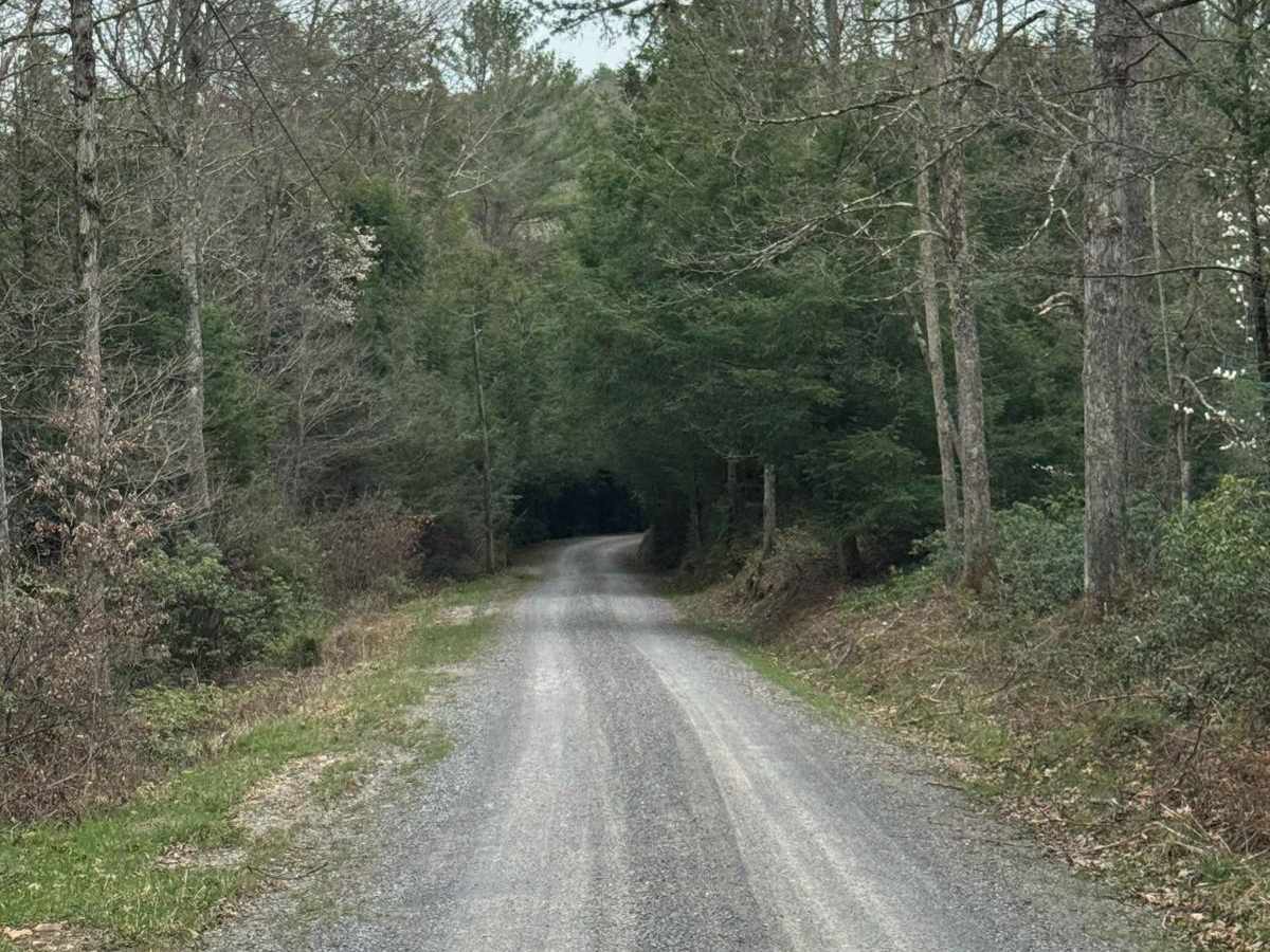 Narrow Gauge Road photo 5