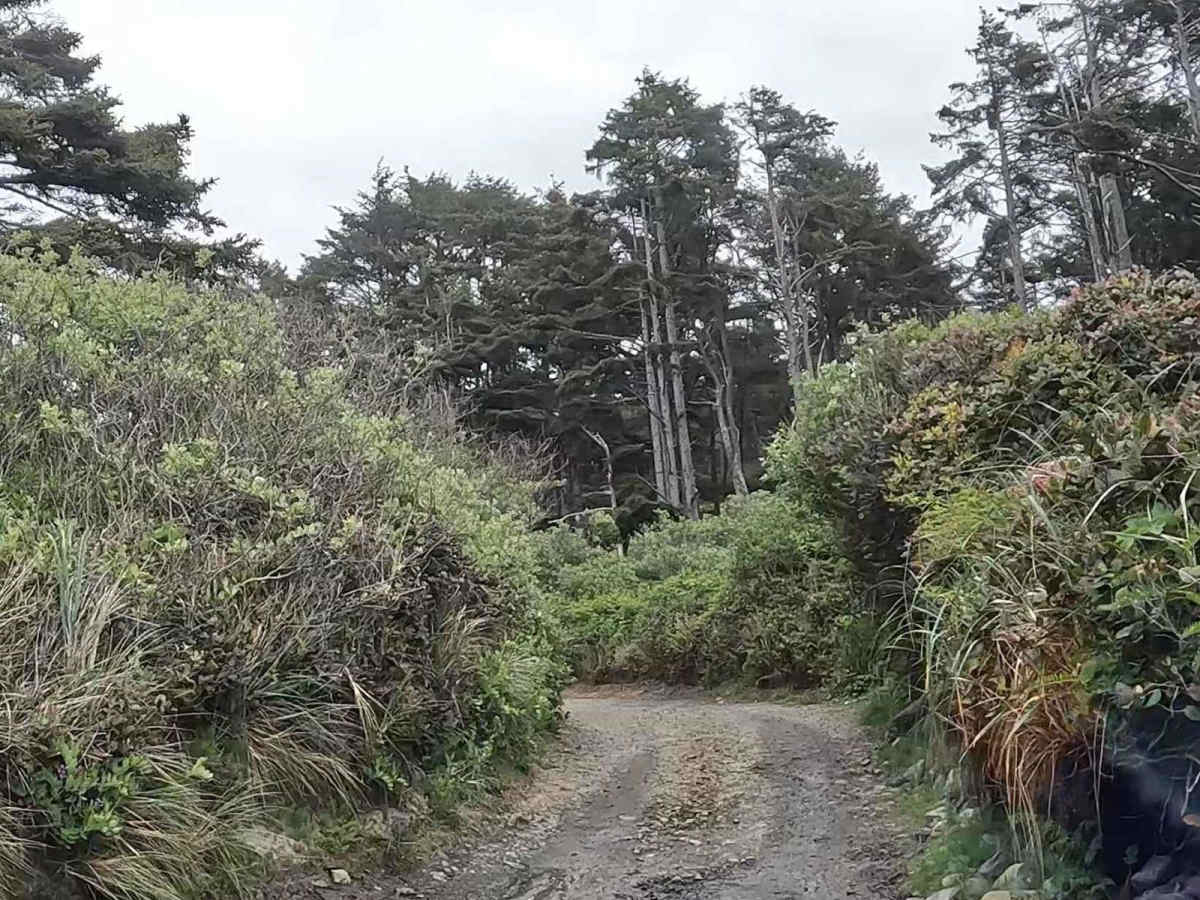 McPhillips Beach Trail photo 6