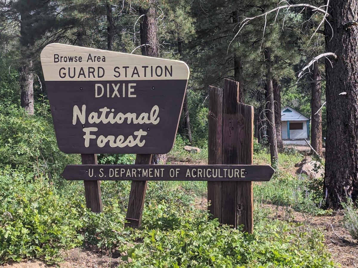 Browse Area Guard Station-FSR30037 trail photo