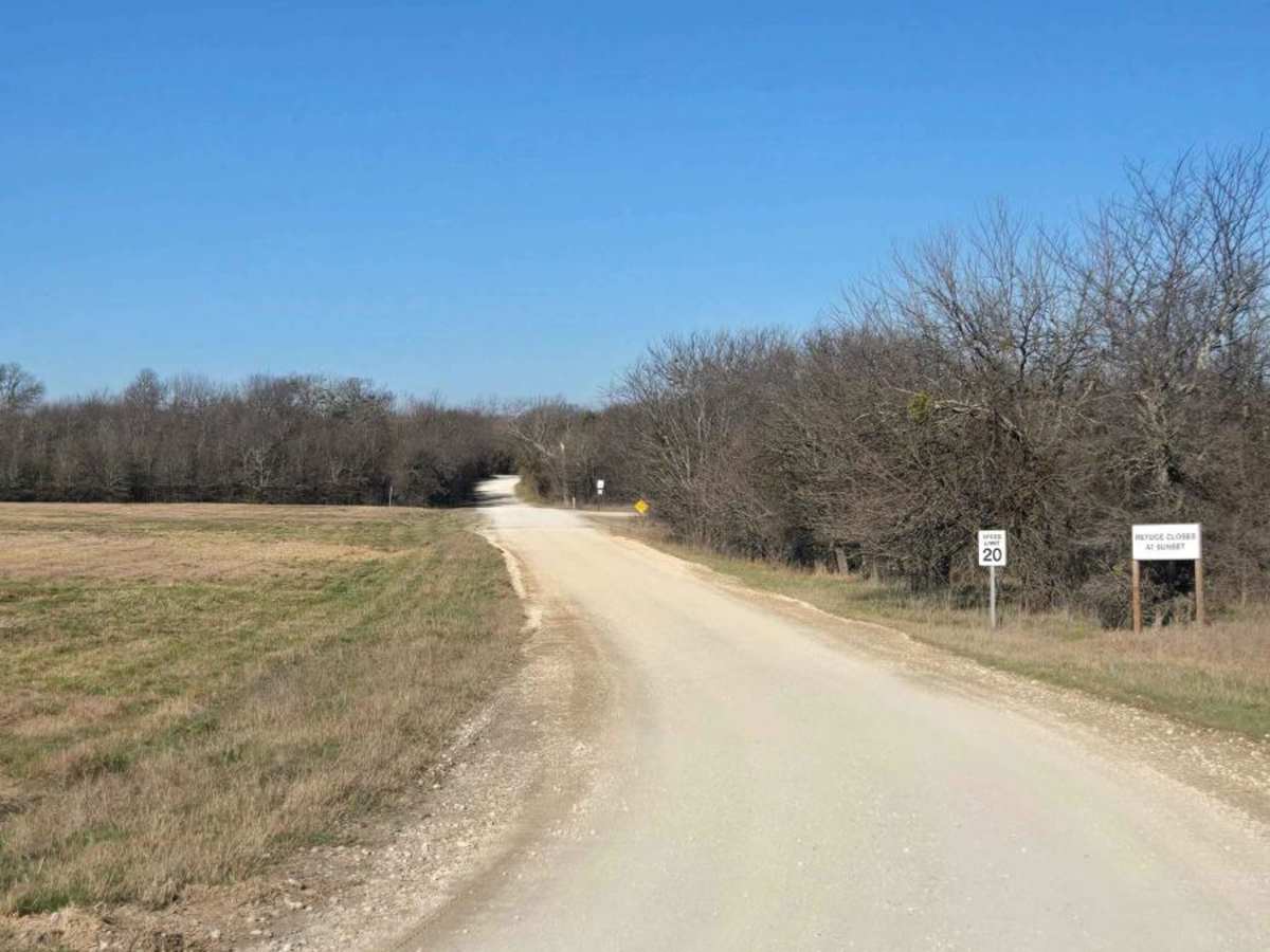 Bennet Lane Gravel Road photo 2
