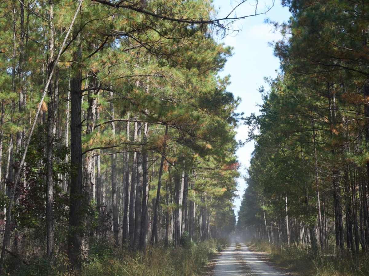 Little Hellhole Bay - FSR 158 photo 5