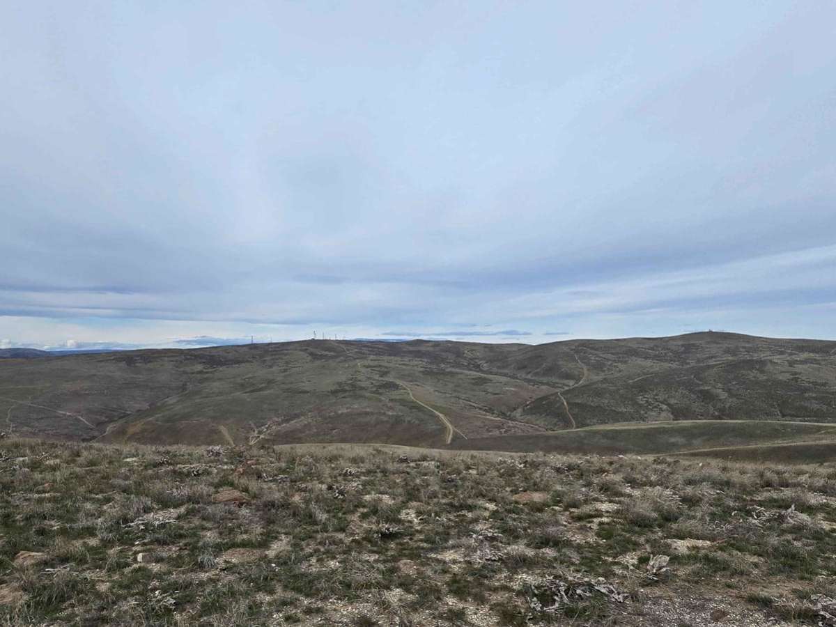 West Saddle Mountains Ridge photo 3