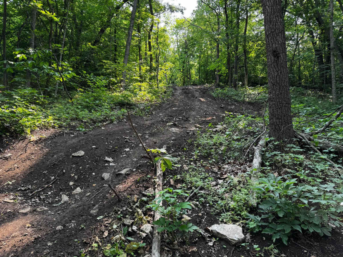 Yellow 96 trail photo