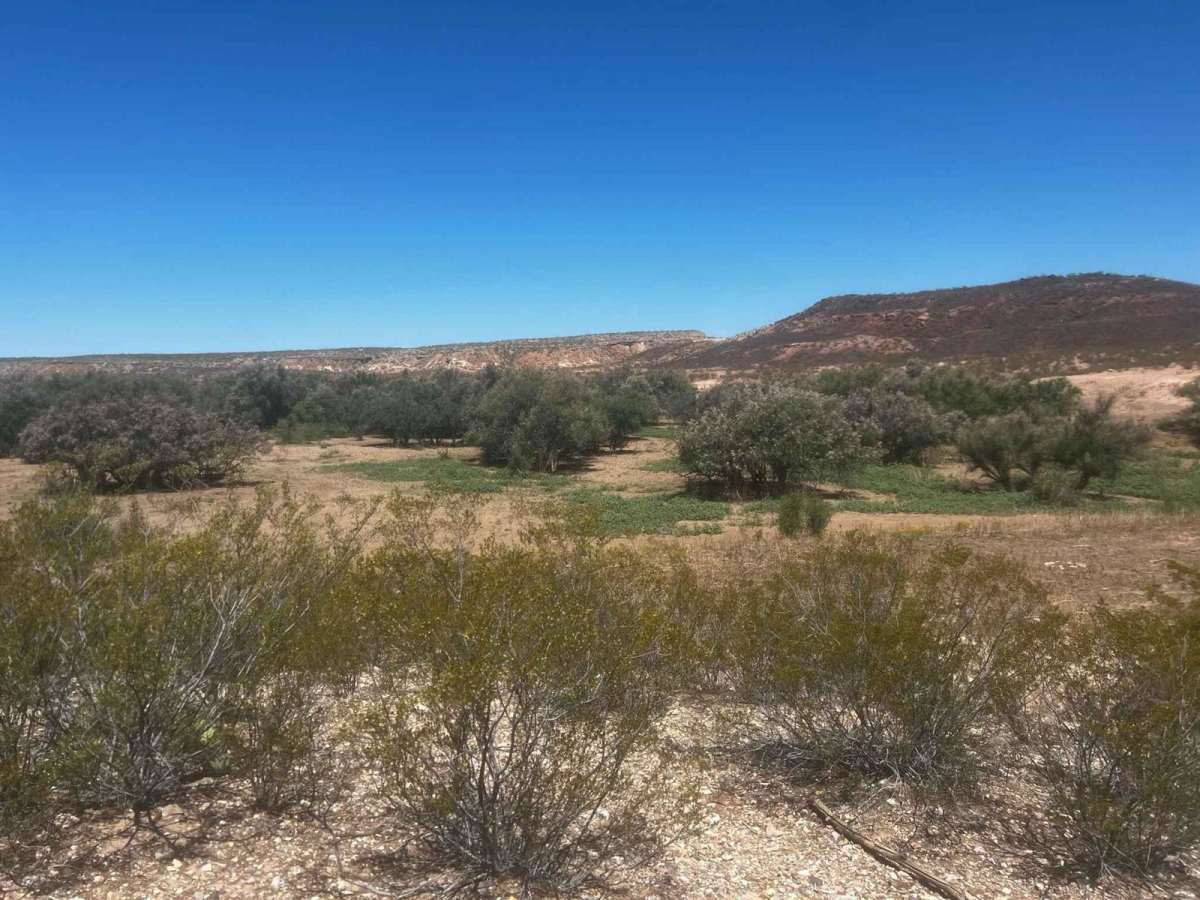 West Mesa Loves Loop photo 6